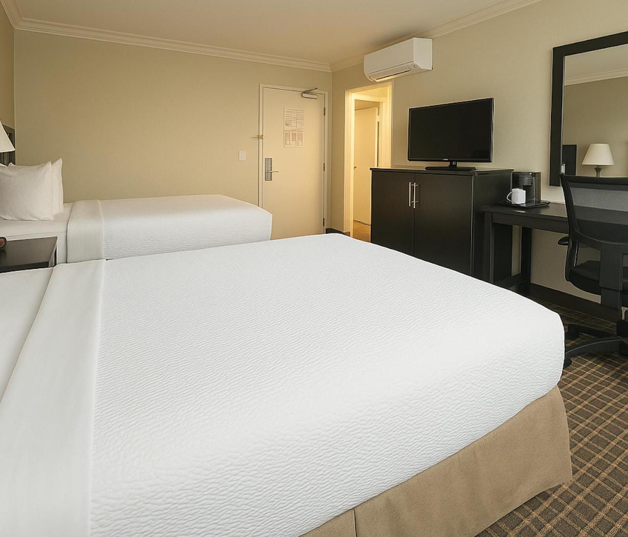 2 Double Beds,1663740841:JPEG